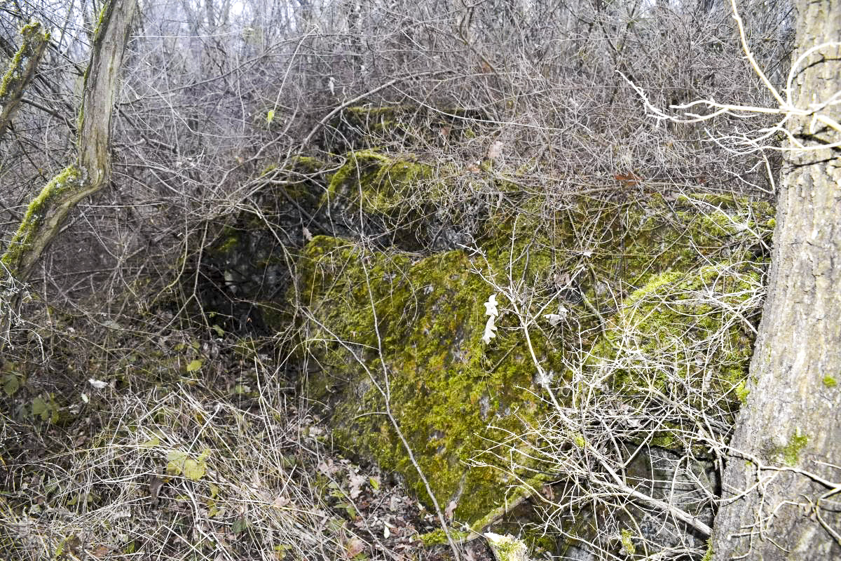 Ligne Maginot - WAELDELEZUG NORD - (Blockhaus de type indéterminé) - Petit abri ce trouvant à une vingtaine de mètres au sud-est du gros abri. Il fait partie de l'ensemble.