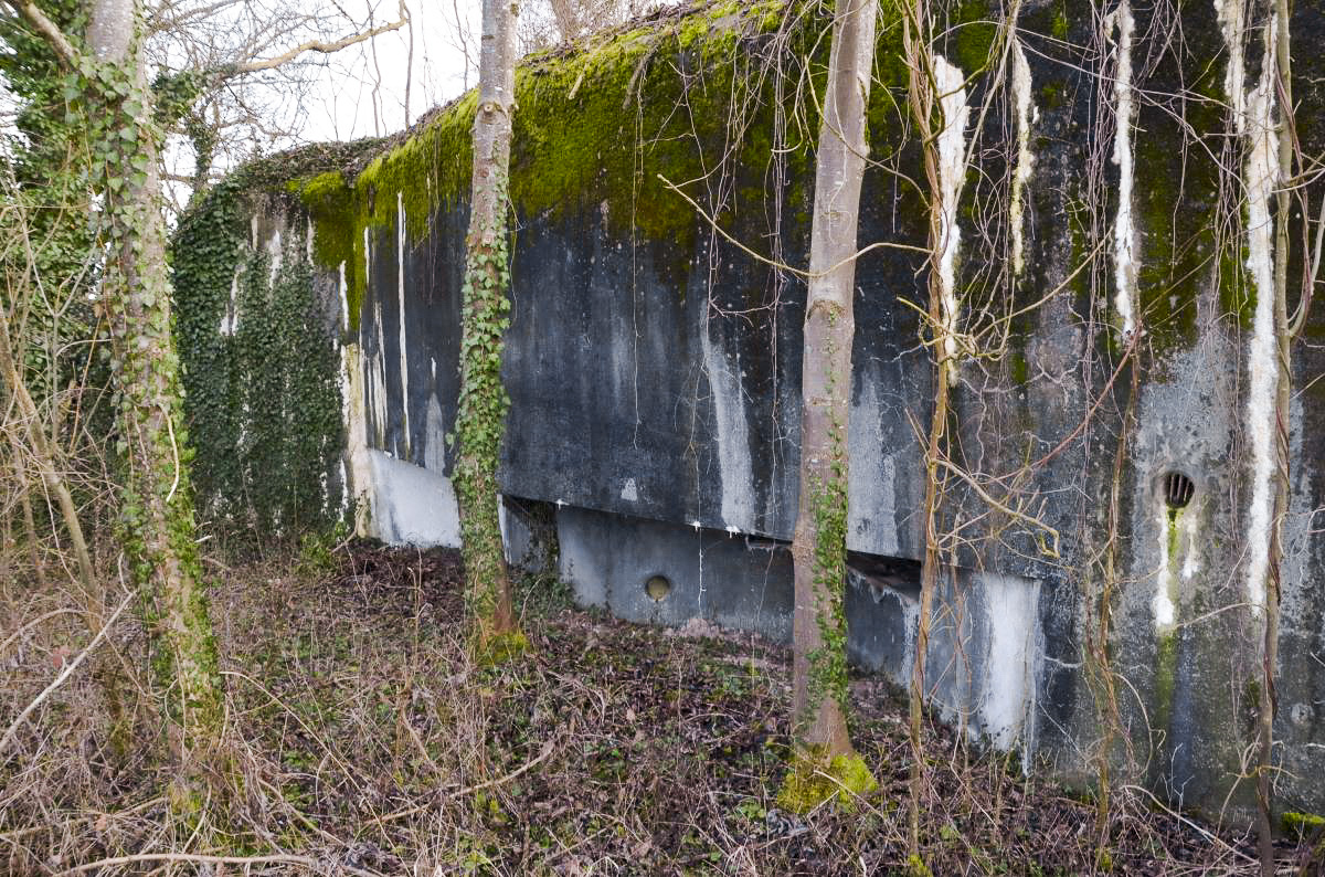 Ligne Maginot - 77 - SAURUNTZ - (Casemate d'infanterie - Double) - Créneau est