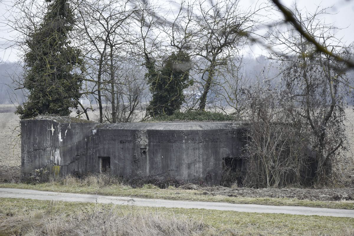 Ligne Maginot - BRIGGMATTEN EST - (Blockhaus pour canon) - Coté ouest - vers le canal
On distingue à gauche l'observatoire