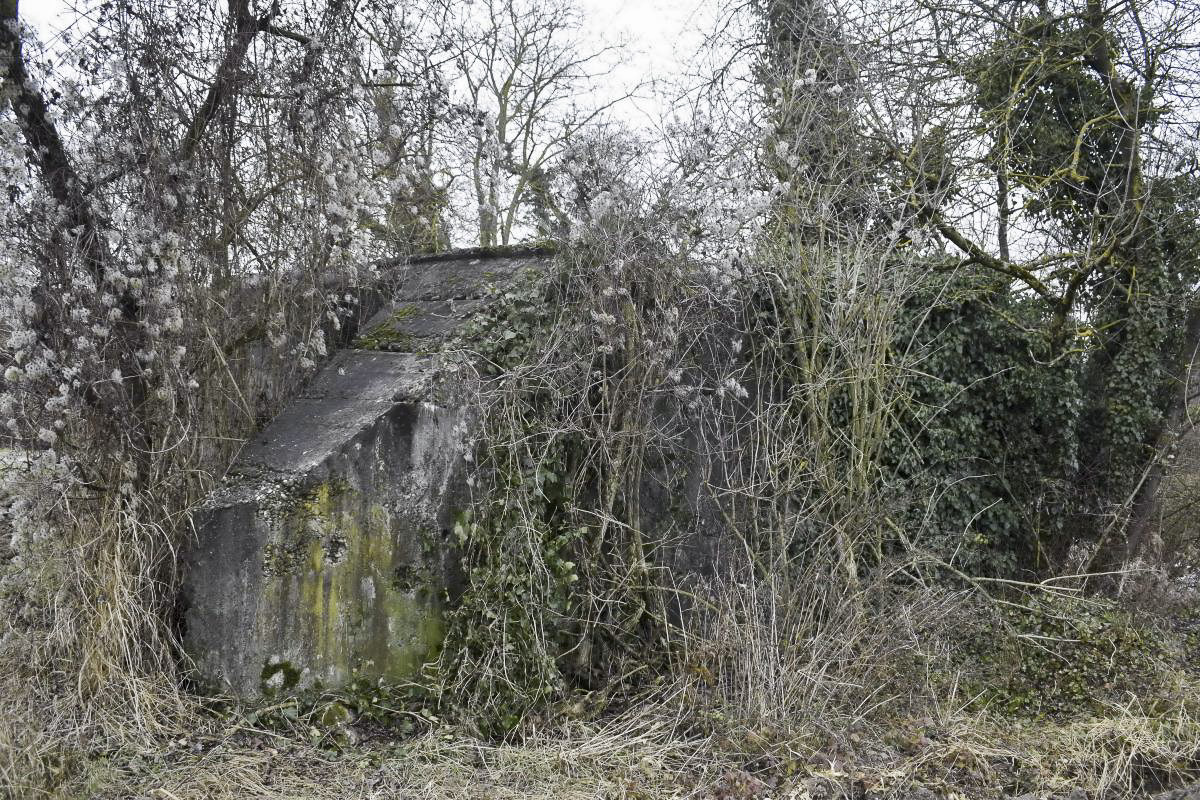 Ligne Maginot - BRIGGMATTEN EST - (Blockhaus pour canon) - Coté est