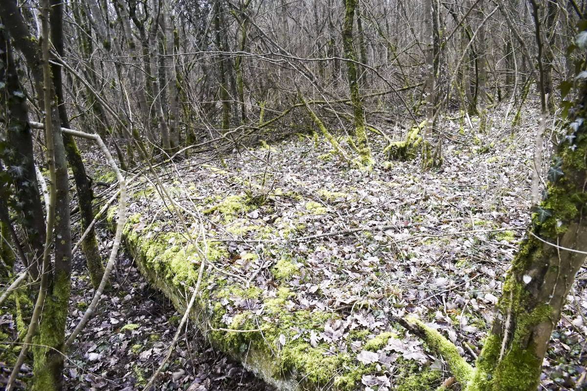 Ligne Maginot - CANAL DE HUNINGUE EST - (Casernement) - Bâtiment 5.