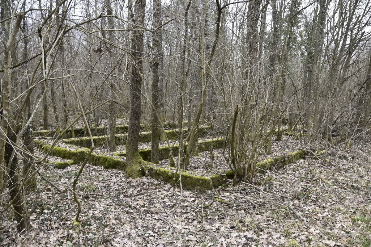Ligne Maginot - CANAL DE HUNINGUE EST - (Casernement) - Bâtiment 7
Vue sur l'entrée.