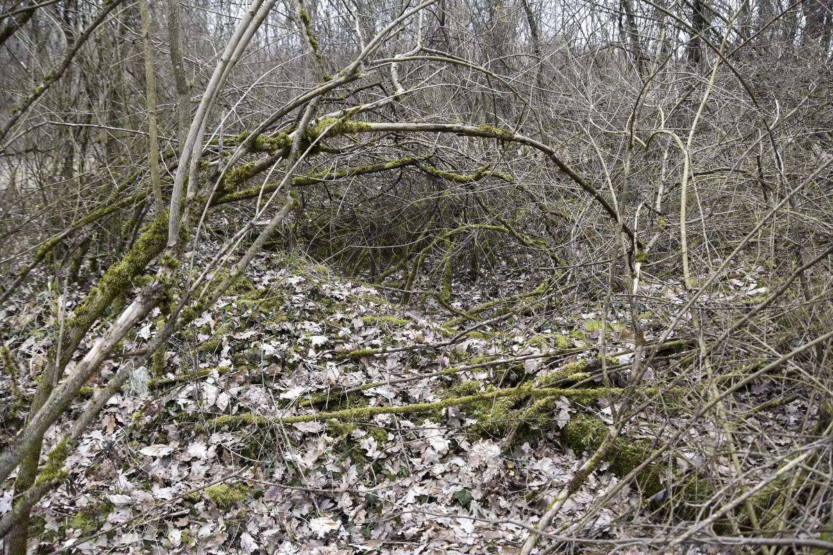 Ligne Maginot - CANAL DE HUNINGUE EST - (Casernement) - Bâtiment 10
Sous-sol