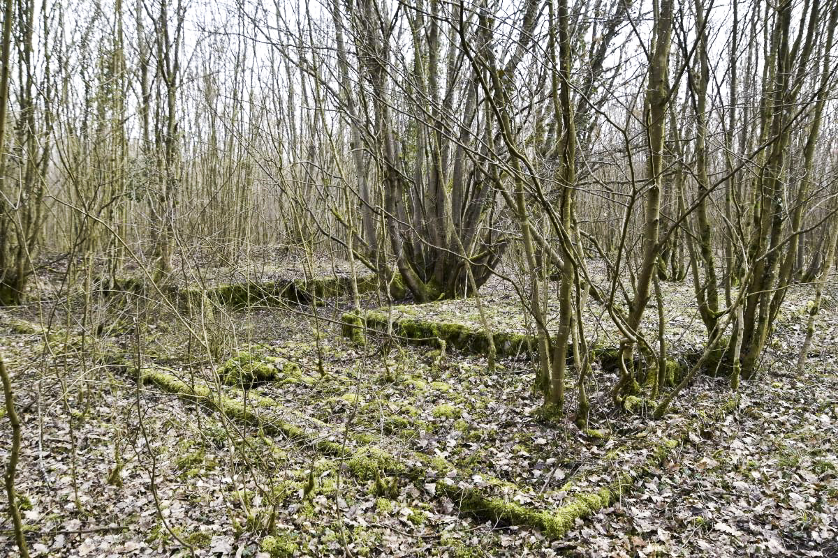 Ligne Maginot - CANAL DE HUNINGUE OUEST - (PC) - Bâtiment 2
Emplacement 2, icone C sur la carte B. Bâtiment du PC coté nord