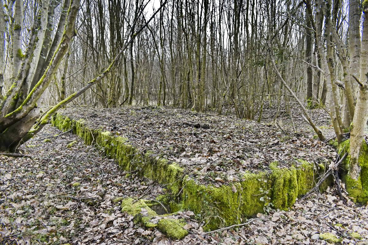 Ligne Maginot - CANAL DE HUNINGUE OUEST - (PC) - Bâtiment 2
Emplacement 2, icone C sur la carte B. Bâtiment du PC coté sud