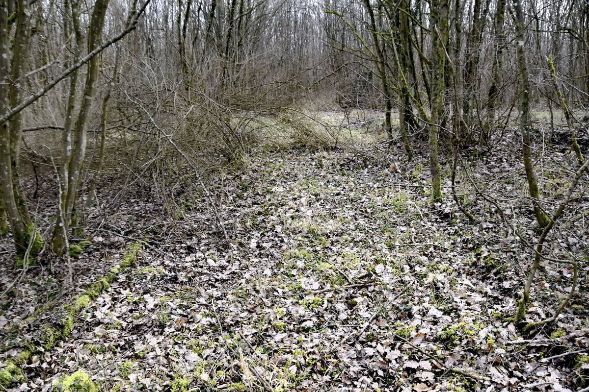 Ligne Maginot - CANAL DE HUNINGUE OUEST - (PC) - Chemin d'entrée