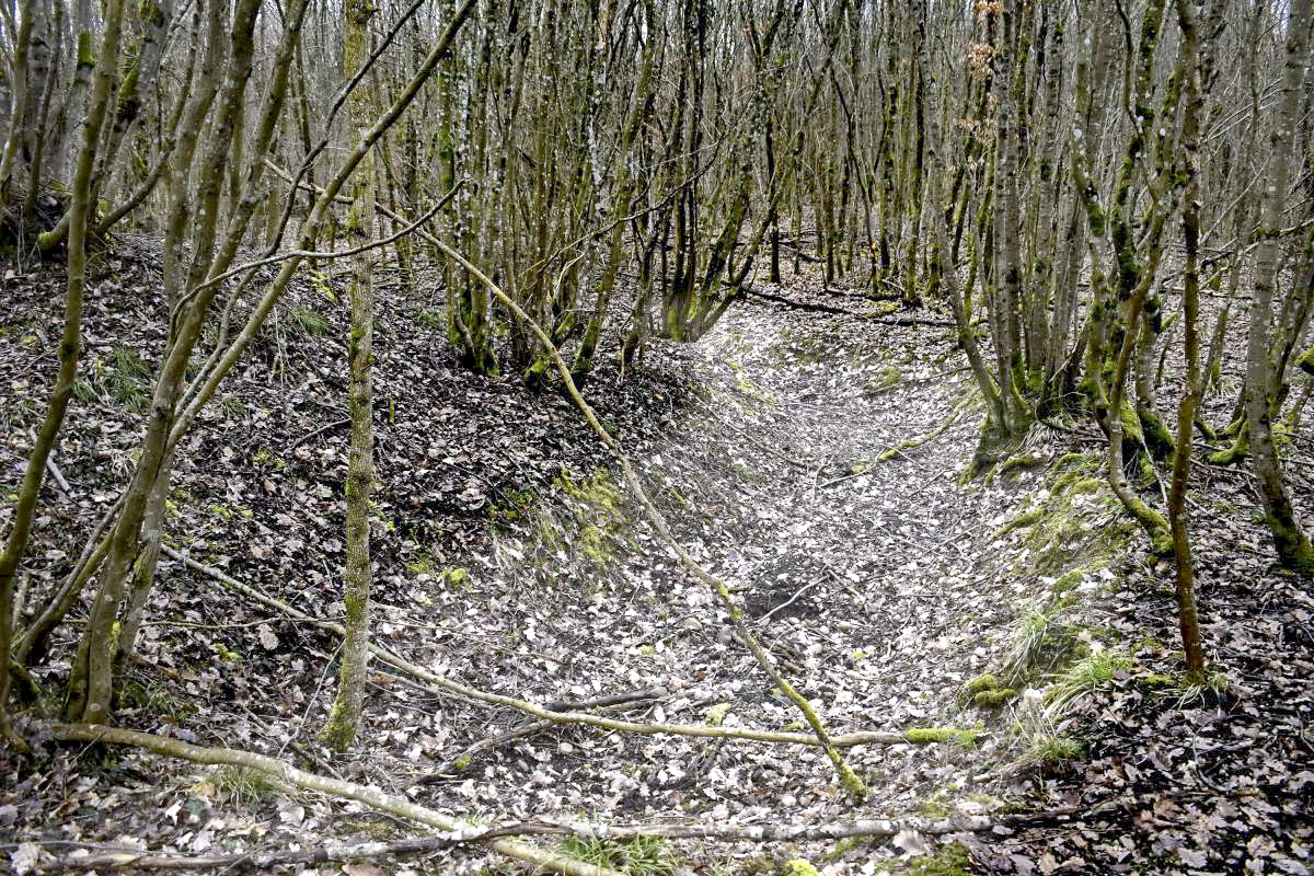 Ligne Maginot - CANAL DE HUNINGUE OUEST - (PC) - Excavation à l'est du PC