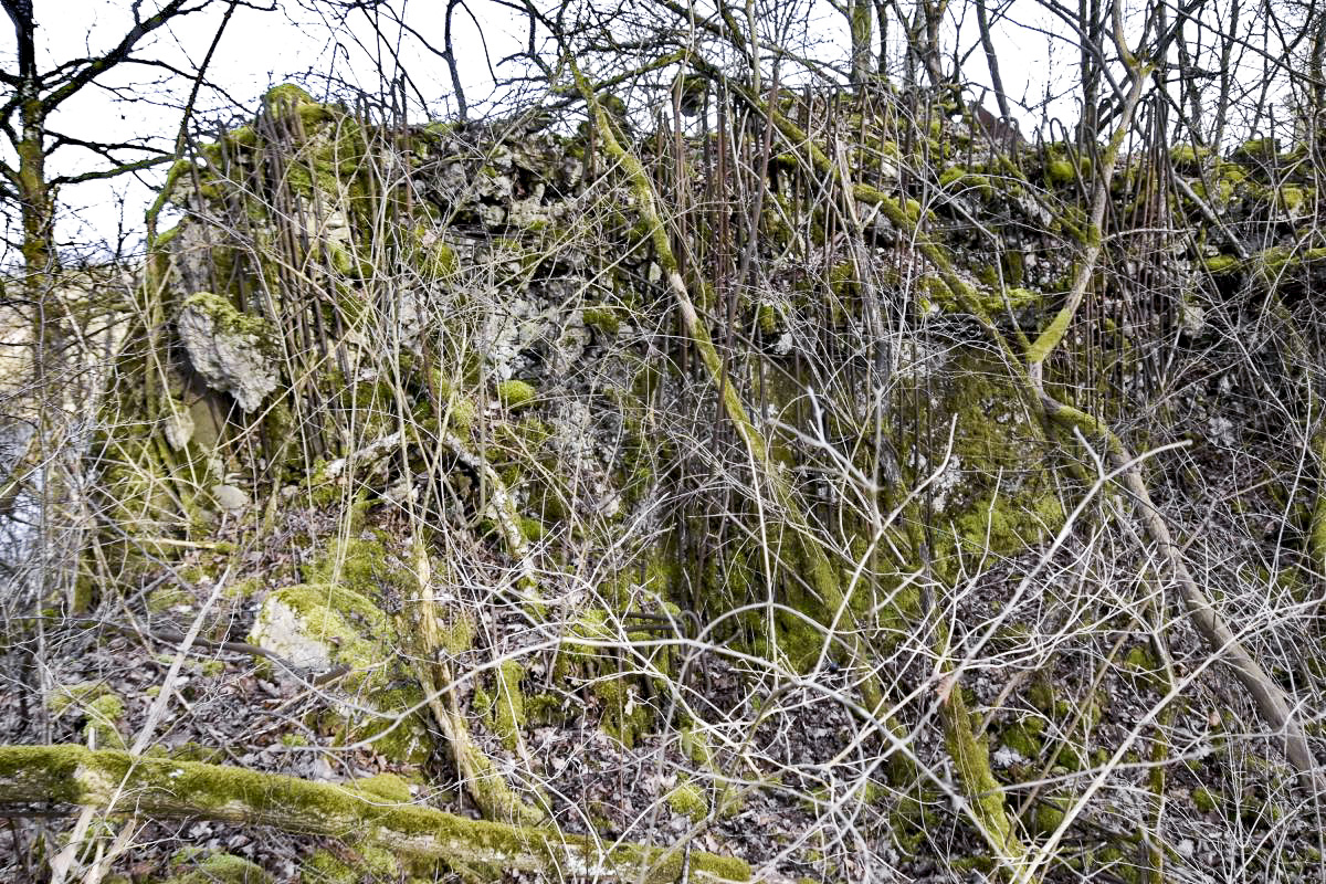 Ligne Maginot - G52 - KOHLERGRUND - (Blockhaus pour arme infanterie) - Reste de la façade ouest
