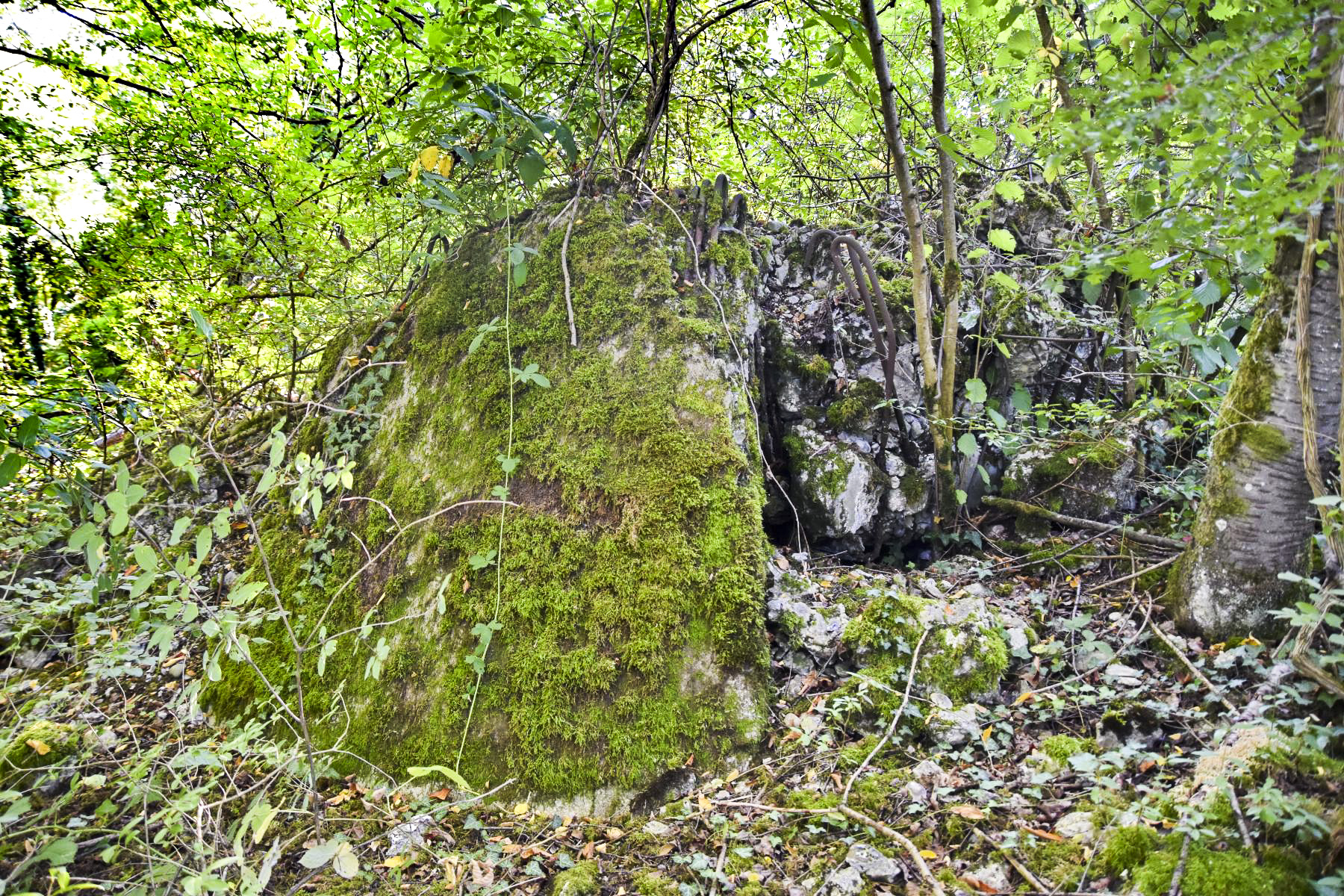 Ligne Maginot - G59 - KEMBS BERGE SUD - (Blockhaus pour arme infanterie) - Ruine du blockhaus