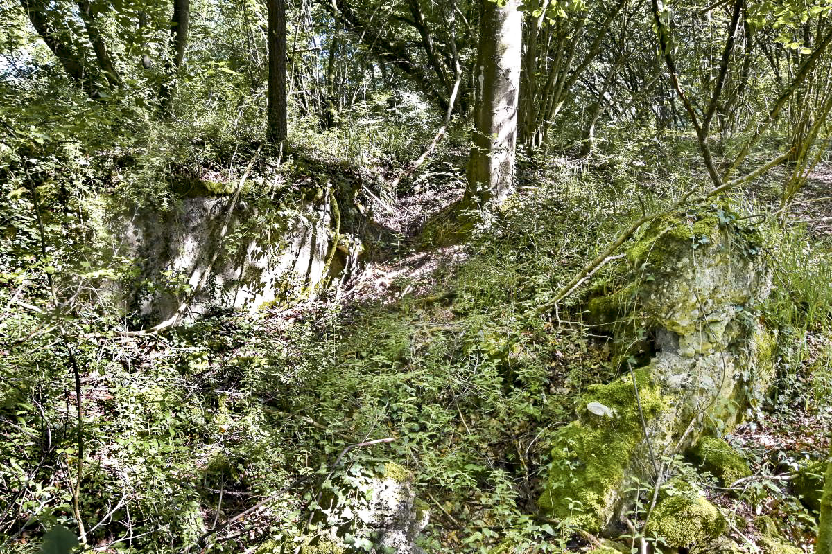 Ligne Maginot - G61 - BRIGGMATTEN BERGE NORD - (Blockhaus pour arme infanterie) - Ruine de l'abris à droite (sud) du blockhaus