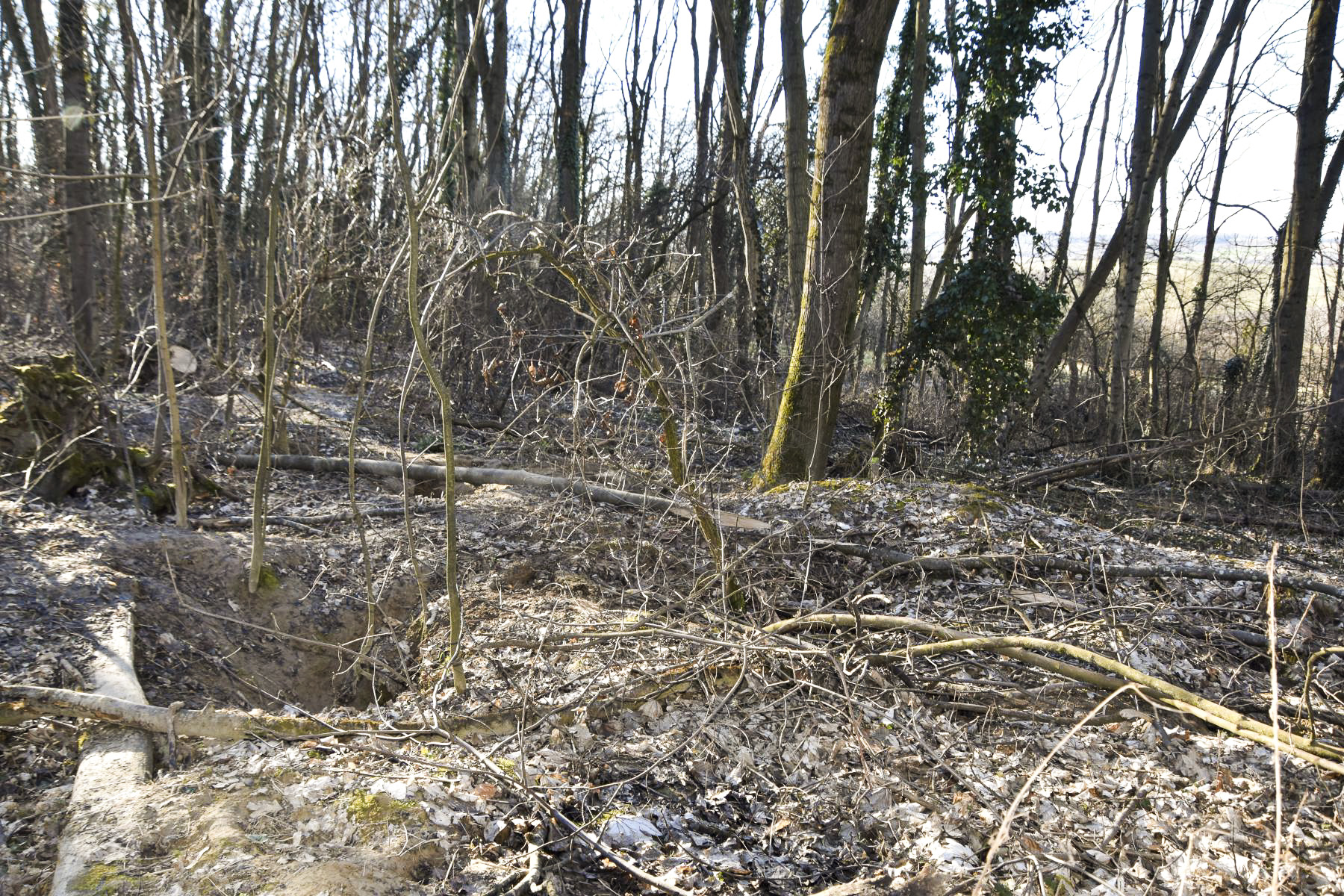 Ligne Maginot - HERICOURT - (Position d'artillerie préparée) - Abri effondré 
