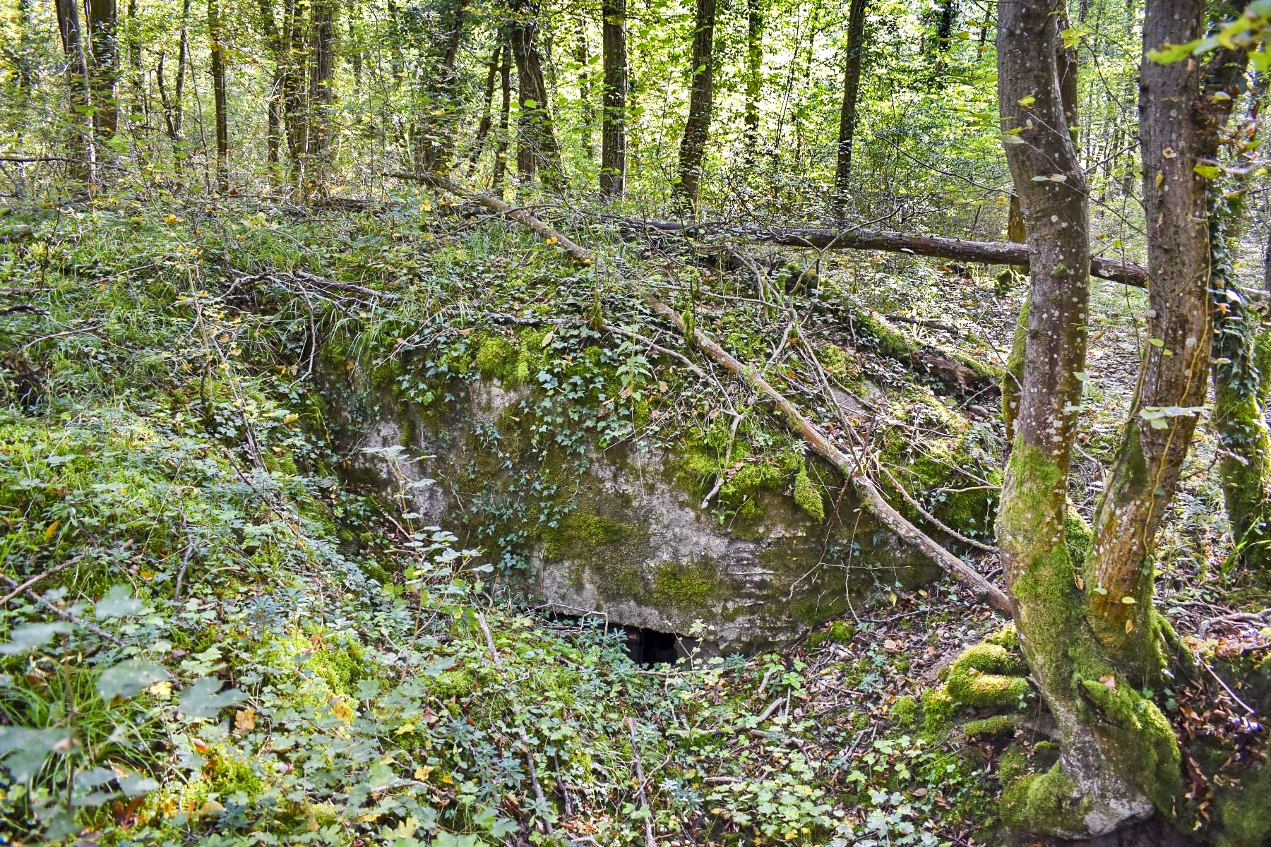 Ligne Maginot - JACQUELINE - (Position d'artillerie préparée) - Abri
Entrée sud