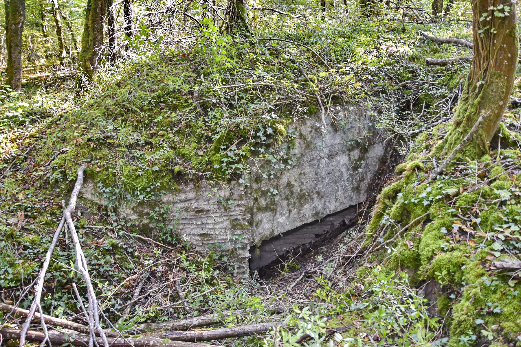 Ligne Maginot - JACQUELINE - (Position d'artillerie préparée) - Abri
Entrée nord