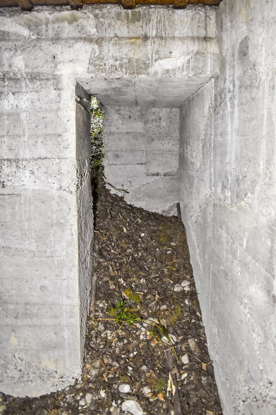 Ligne Maginot - JACQUELINE - (Position d'artillerie préparée) - Abri
Entrée nord
