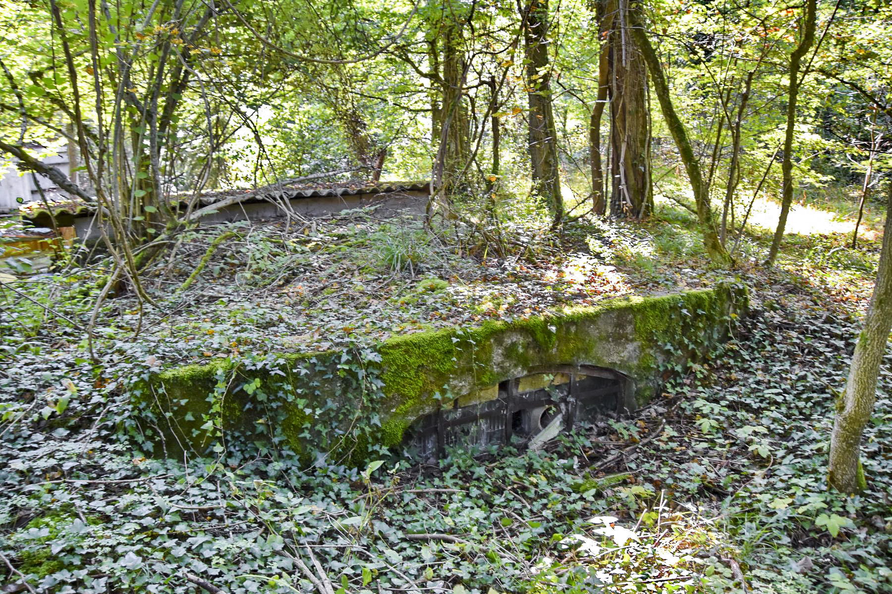 Ligne Maginot - JACQUELINE - (Position d'artillerie préparée) - Abri à munition