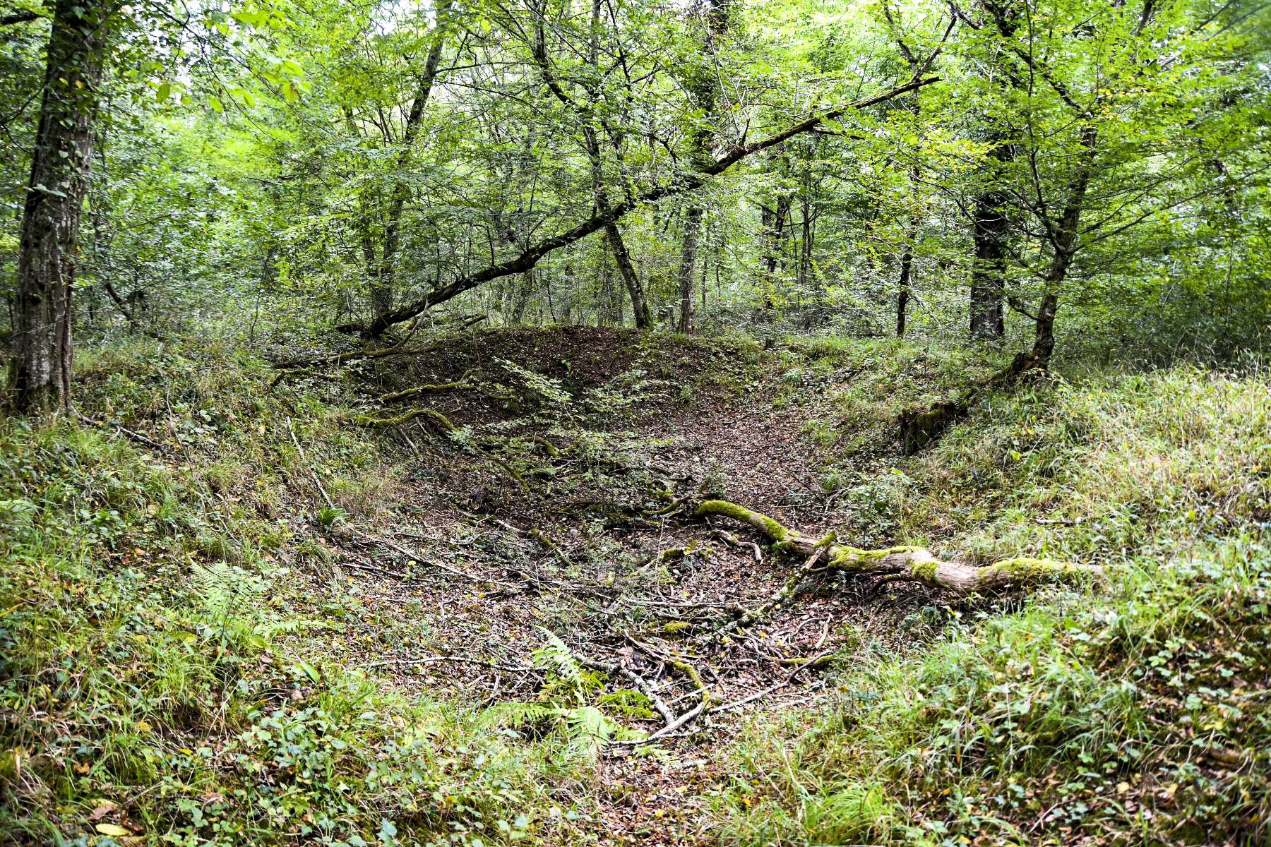 Ligne Maginot - JACQUELINE - (Position d'artillerie préparée) - Emplacement de tir