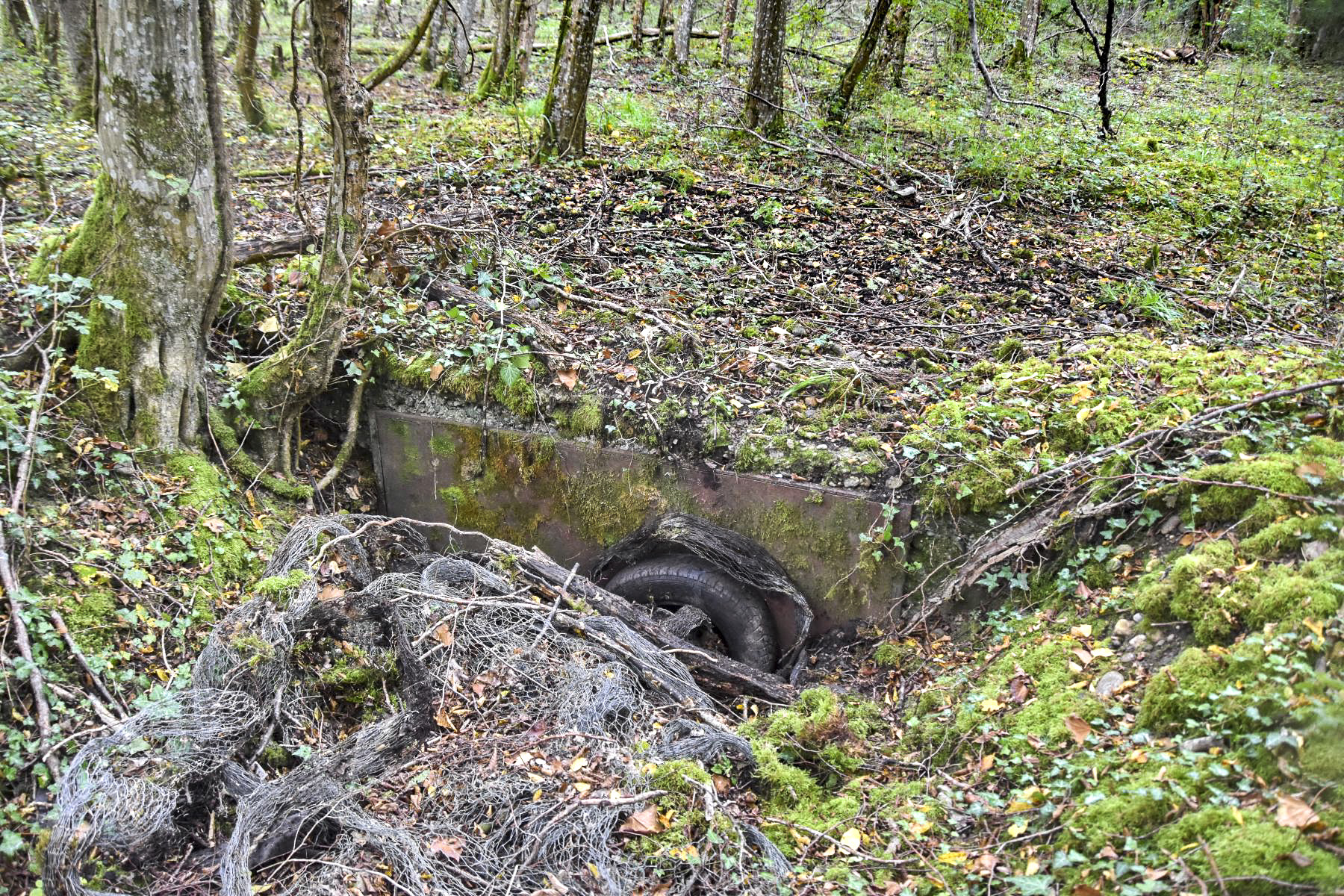 Ligne Maginot - JACQUELINE - (Position d'artillerie préparée) - Abri PC