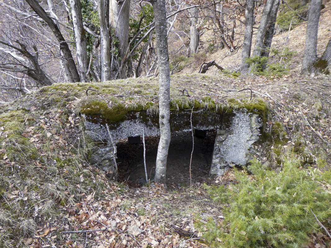 Ligne Maginot - ROURE - CHAPELLE STE ANNE 1 - (Blockhaus pour canon) - 