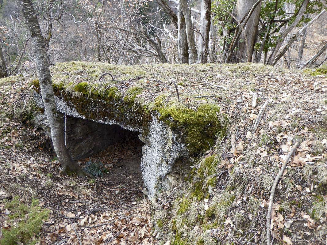 Ligne Maginot - ROURE - CHAPELLE STE ANNE 1 - (Blockhaus pour canon) - 
