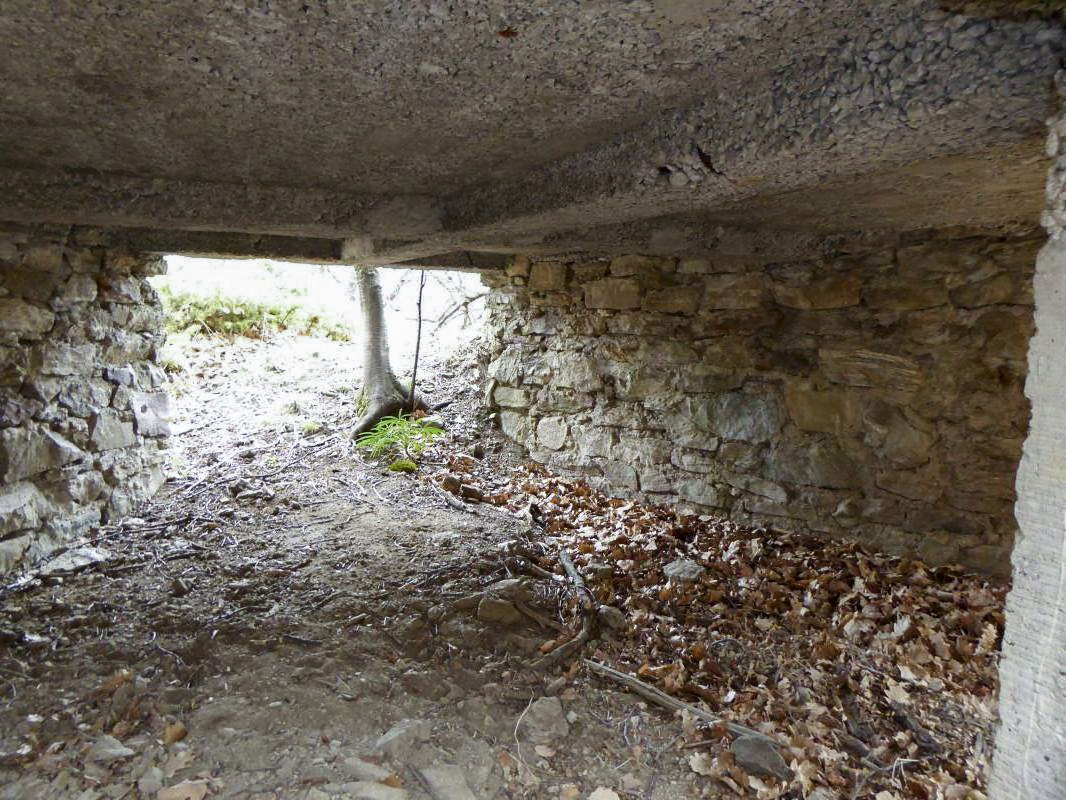 Ligne Maginot - ROURE - CHAPELLE STE ANNE 1 - (Blockhaus pour canon) - 