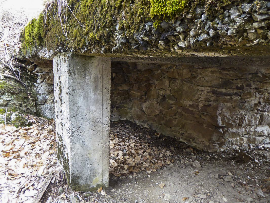 Ligne Maginot - ROURE - CHAPELLE STE ANNE 1 - (Blockhaus pour canon) - 