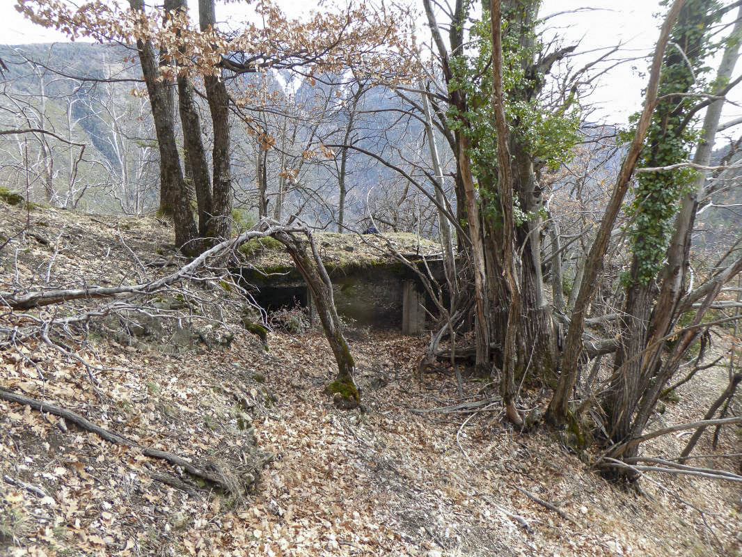 Ligne Maginot - ROURE - CHAPELLE STE ANNE 2 - (Blockhaus pour canon) - 