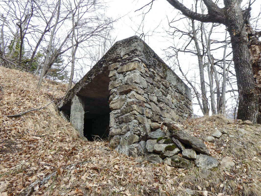 Ligne Maginot - ROURE - CHAPELLE STE ANNE 2 - (Blockhaus pour canon) - 