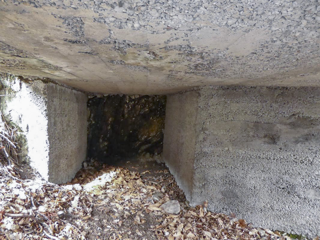 Ligne Maginot - ROURE - CHAPELLE STE ANNE 2 - (Blockhaus pour canon) - Niche à munitions