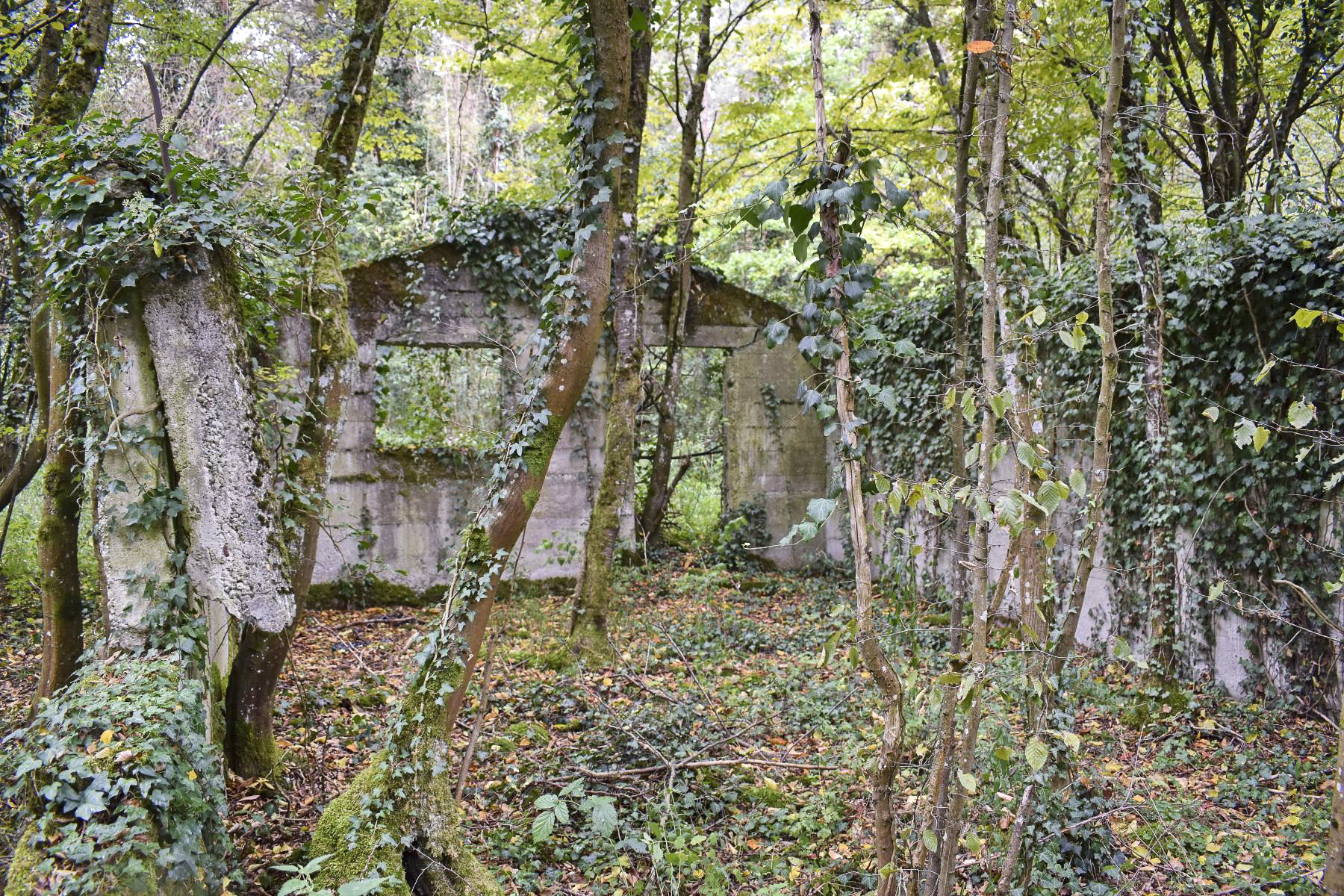 Ligne Maginot - KEMBS - (Camp de sureté) - Intérieur d'un baraquement.
