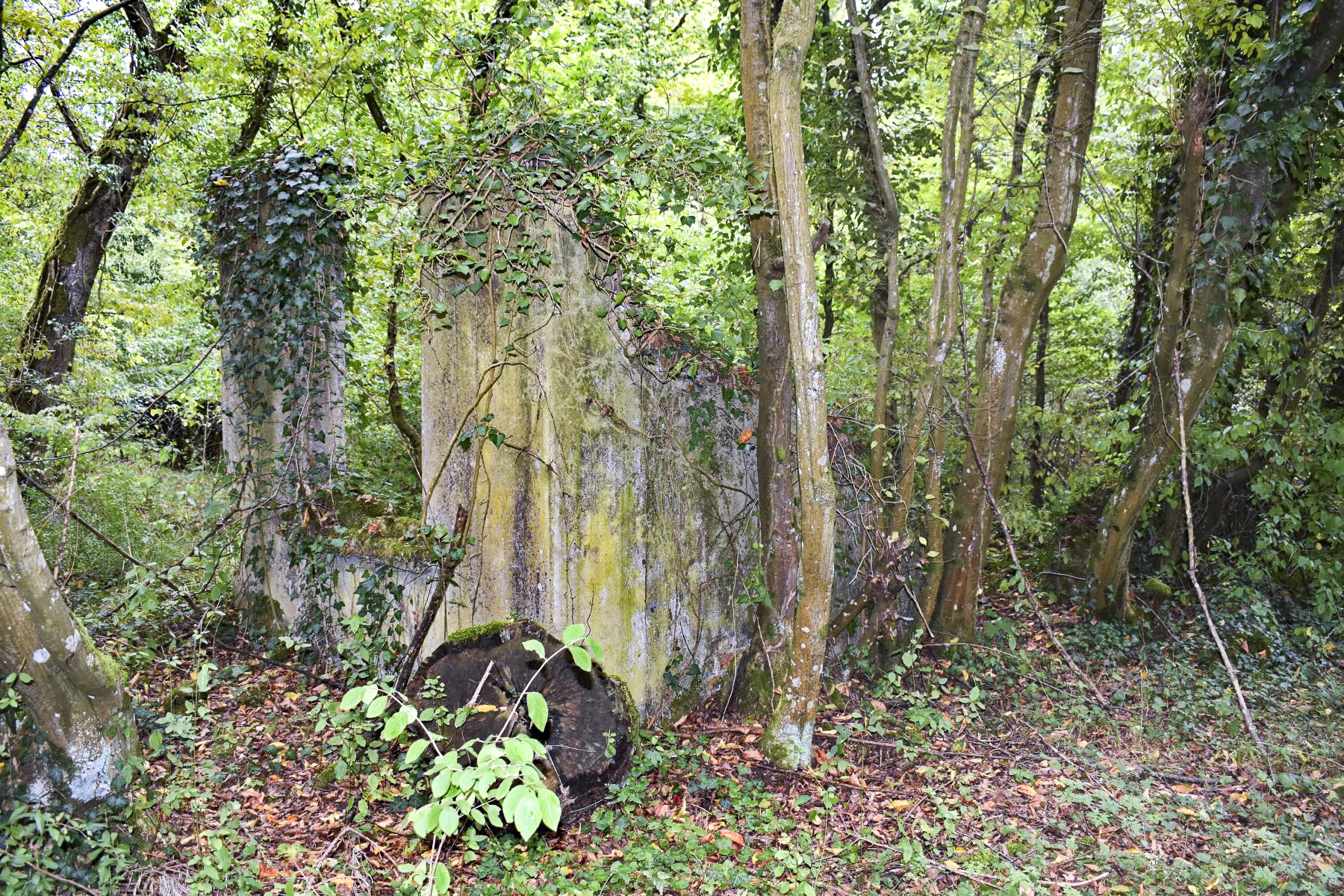 Ligne Maginot - KEMBS - (Camp de sureté) - Vestiges d'une construction