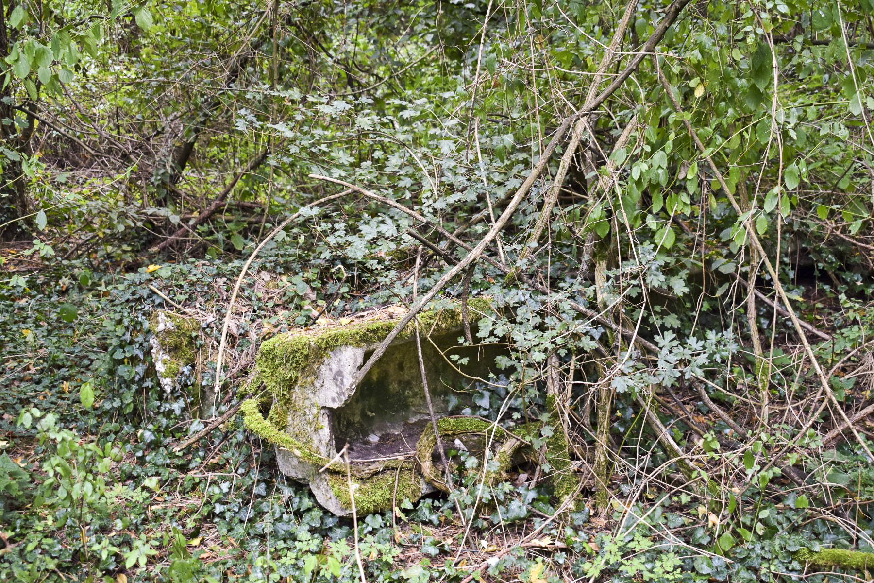 Ligne Maginot - KEMBS - (Camp de sureté) - Vestiges d'un abreuvoir