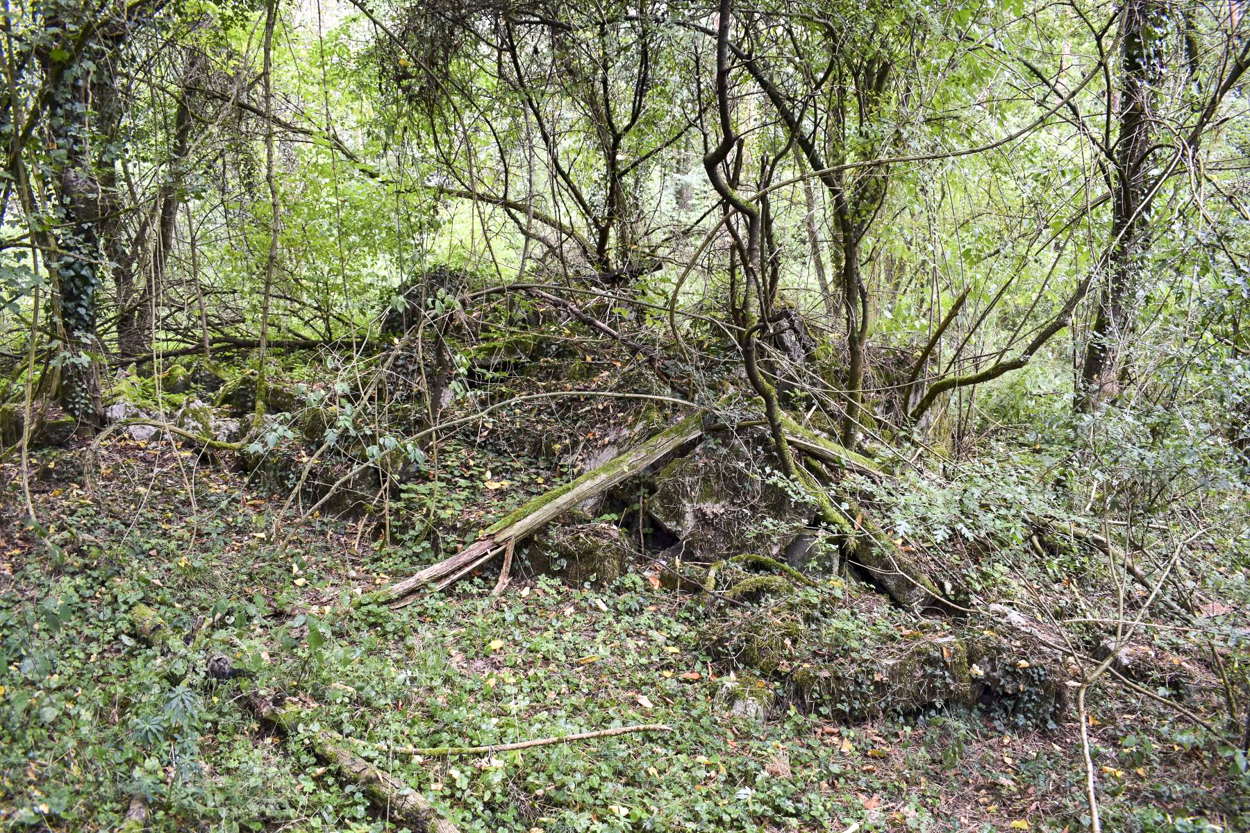 Ligne Maginot - KEMBS - (Camp de sureté) - Vestiges de construction