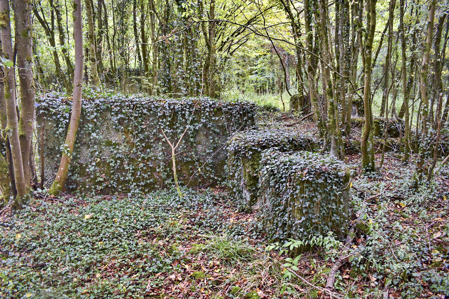 Ligne Maginot - KEMBS - (Camp de sureté) - Vestiges d'une construction aux murs épais.