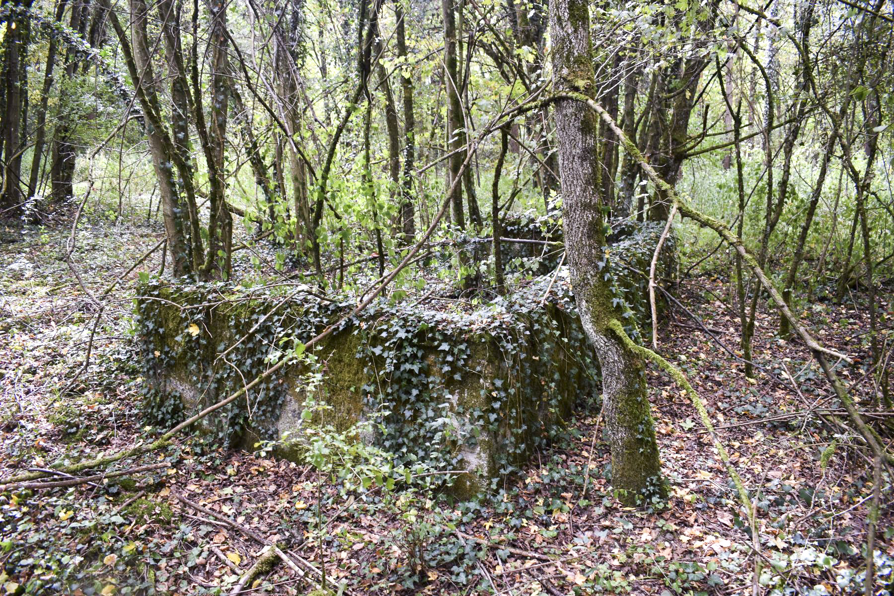 Ligne Maginot - KEMBS - (Camp de sureté) - Vestiges d'une construction.