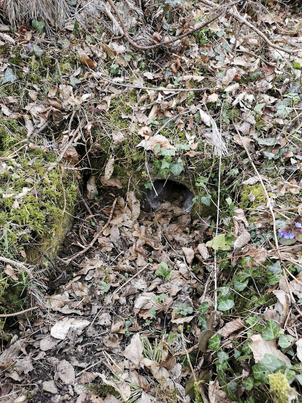 Ligne Maginot - KEMBS - (Camp de sureté) - Un système d'évacuation des eaux, en face du PC. 