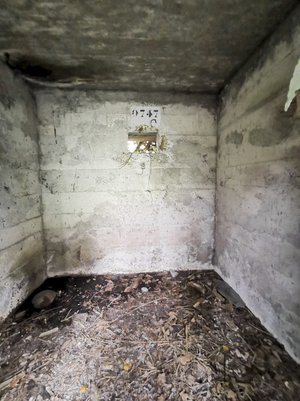 Ligne Maginot - KEMBS LOECHLE 8 - (Blockhaus pour arme infanterie) - Le créneau du fond, en face de la porte, orienté vers le Rhin. 