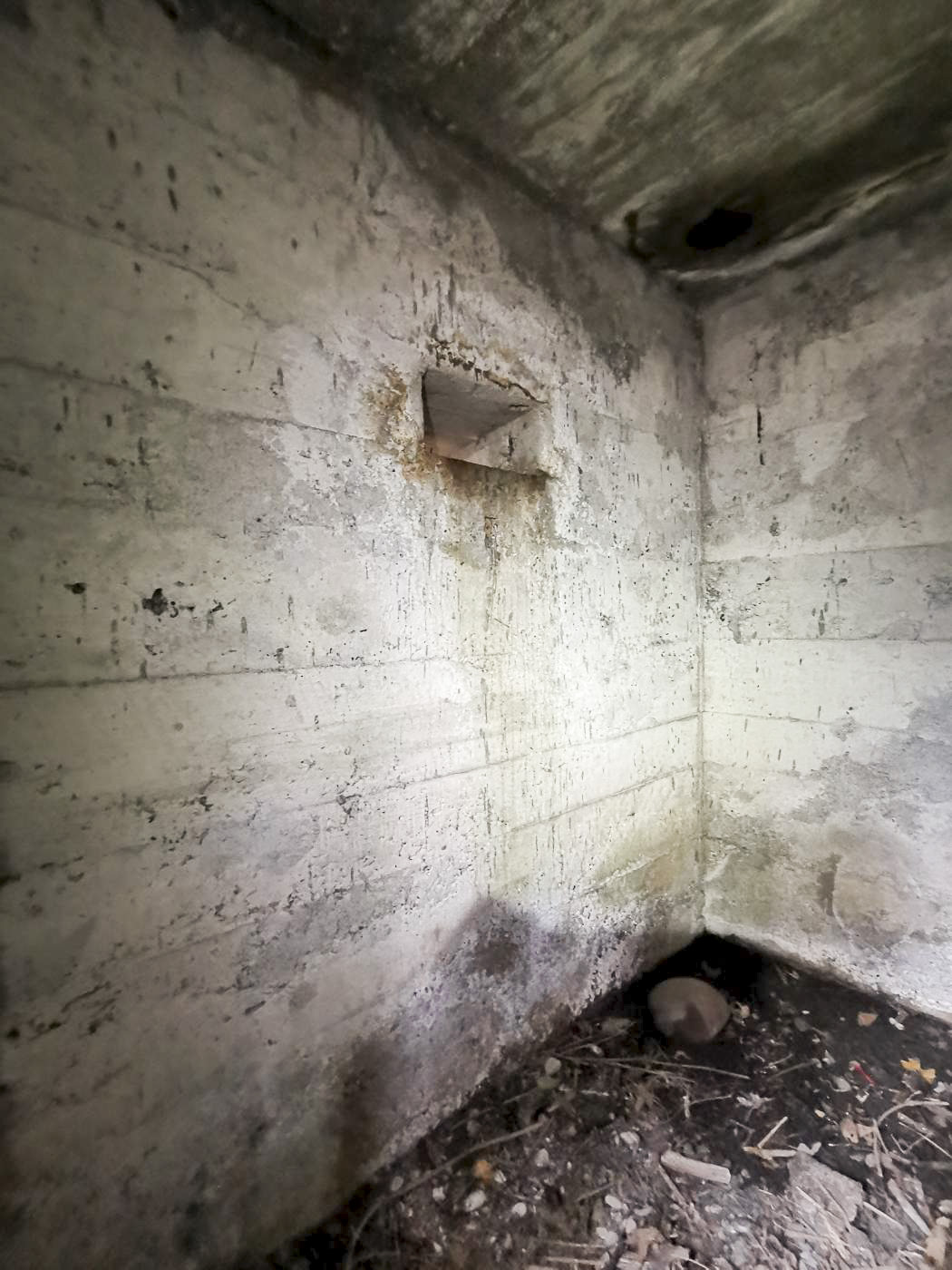 Ligne Maginot - KEMBS LOECHLE 8 - (Blockhaus pour arme infanterie) - Le créneau à gauche de l'entrée, orienté vers Kembs. 