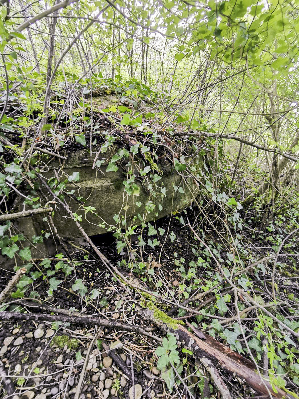 Ligne Maginot - KEMBS NORD 3 - (Blockhaus pour arme infanterie) - La coupole 