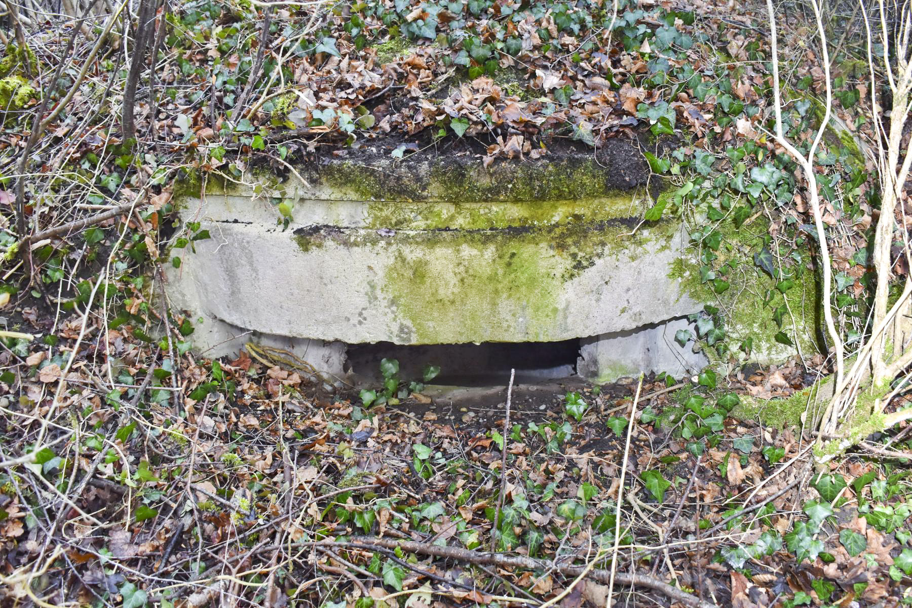 Ligne Maginot - KEMBS NORD 3 - (Blockhaus pour arme infanterie) - Le créneau de tir