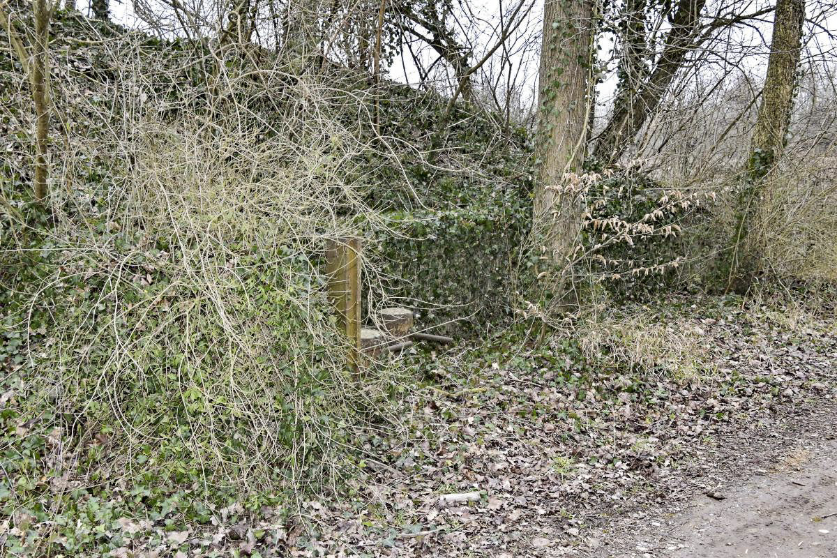 Ligne Maginot - NIFFER NORD - (Barrage de Route) - Vue du coté gauche en venant du village