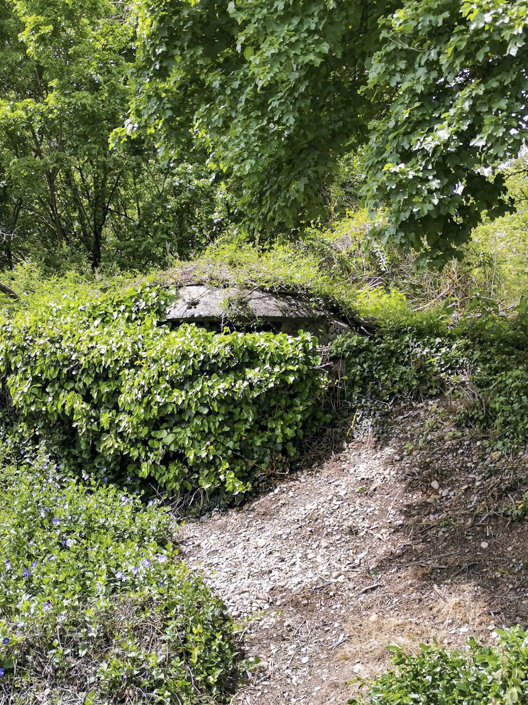 Ligne Maginot - PA KEMBS CENTRE 4 - (Blockhaus pour arme infanterie) - La coupole.