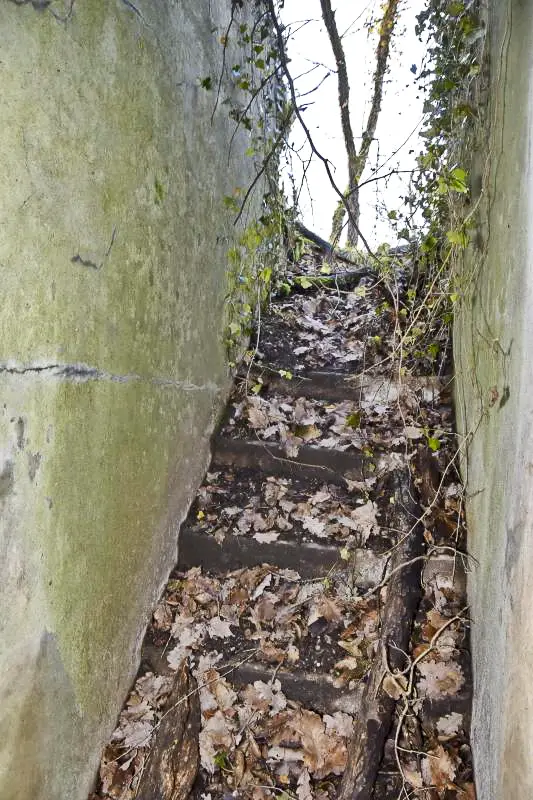 Ligne Maginot - SCHLIERBACH - (Abri) - Escalier nord