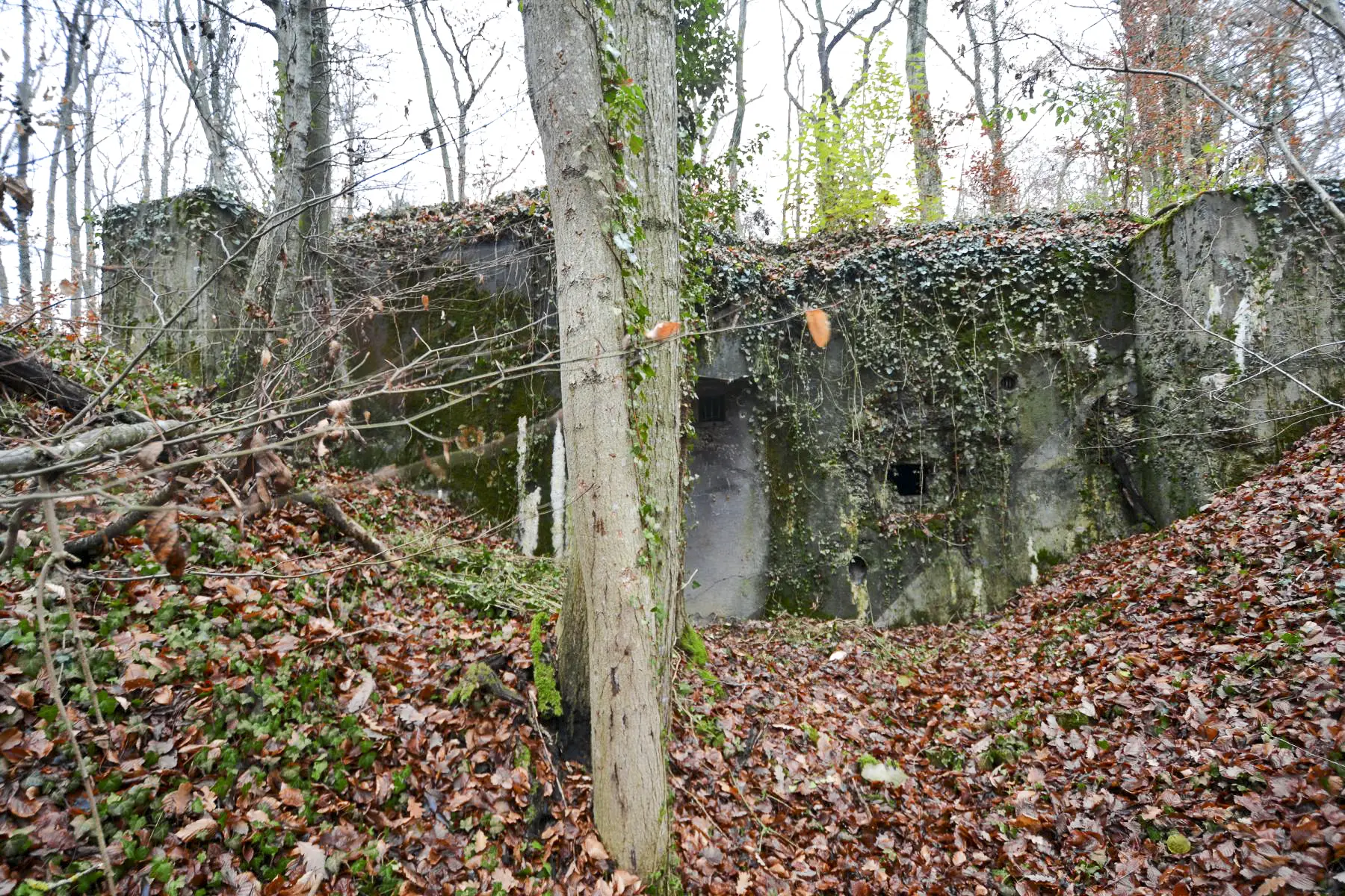 Ligne Maginot - 7 - (Central téléphonique isolé) - La façade arrière du central
