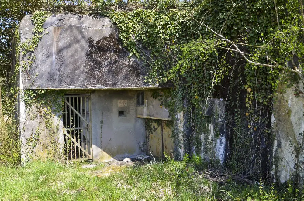 Ligne Maginot - Blockhaus STG 90 - Helfrantzkirch Nord Ouest - Entrées des hommes et du matériel