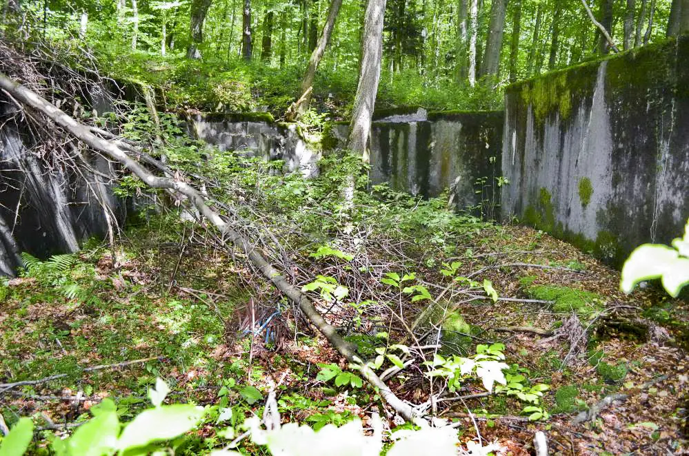 Ligne Maginot - BREITENHAG (BATTERIE DE) - (Position d'artillerie préparée) - Cuve Est
Emplacement du canon de 240. Un bon nettoyage s'imposerait.