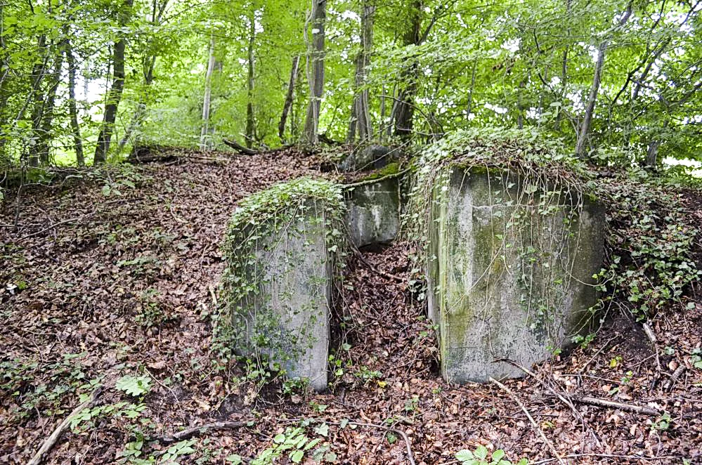 Ligne Maginot - CESARHOF 3 - (Cuve pour arme d'infanterie) - Entrée droite