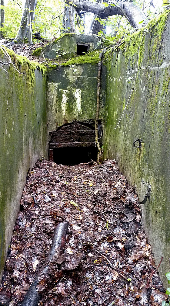 Ligne Maginot - CESARHOF 3 - (Cuve pour arme d'infanterie) - Entrée droite
Ventilation au dessus de l'entrée
