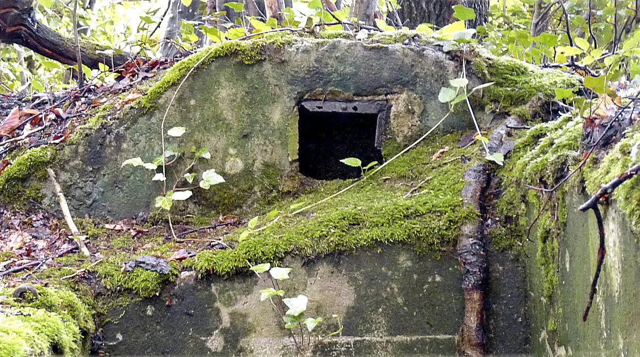 Ligne Maginot - CESARHOF 3 - (Cuve pour arme d'infanterie) - Bouche de ventilation