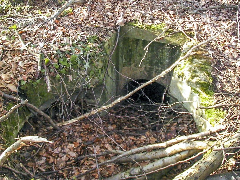 Ligne Maginot - CESARHOF 3 - (Cuve pour arme d'infanterie) - La tourelle se trouvait à cet endroit, au fond la galerie d'accès souterraine