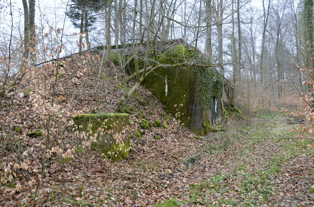 Ligne Maginot - EICHWALD (BATTERIE DE L') - (Position d'artillerie préparée) - PC batterie 3 et 4
Vue extérieure, avec son puits